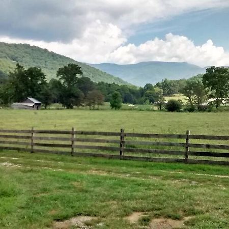 Country Mountain Escape! Barnardsville Exterior foto
