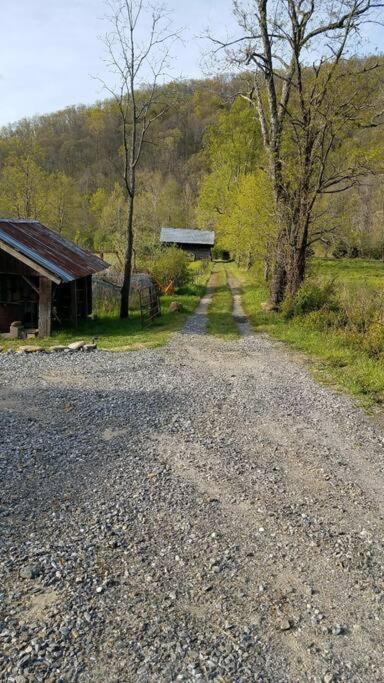 Country Mountain Escape! Barnardsville Exterior foto