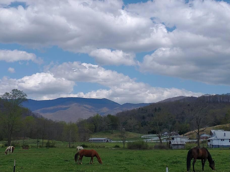 Country Mountain Escape! Barnardsville Exterior foto