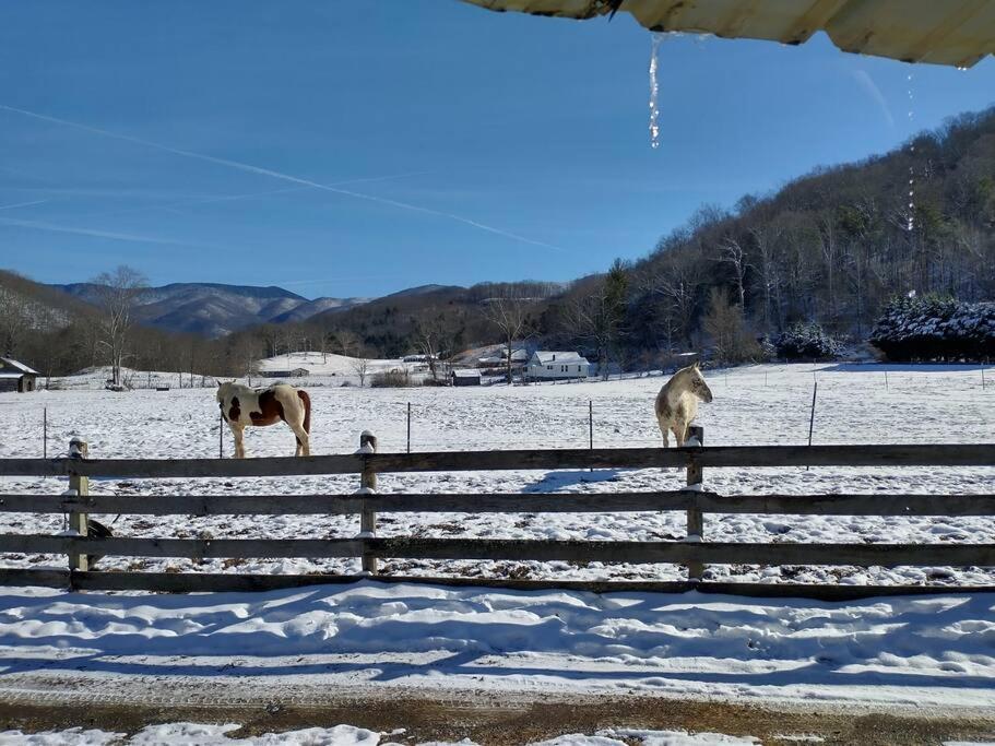 Country Mountain Escape! Barnardsville Exterior foto