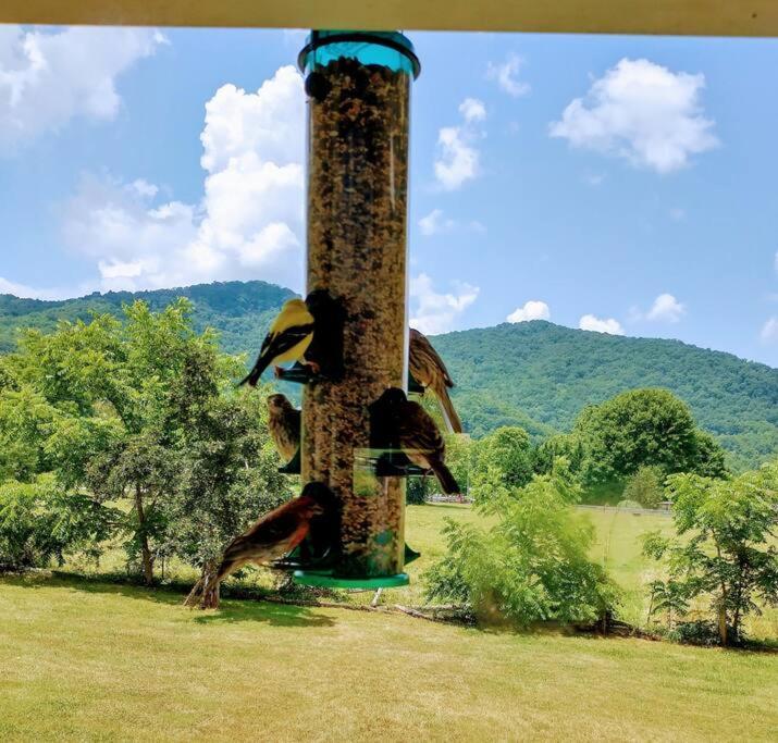 Country Mountain Escape! Barnardsville Exterior foto