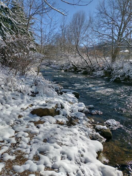 Country Mountain Escape! Barnardsville Exterior foto