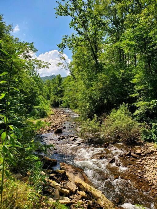 Country Mountain Escape! Barnardsville Exterior foto
