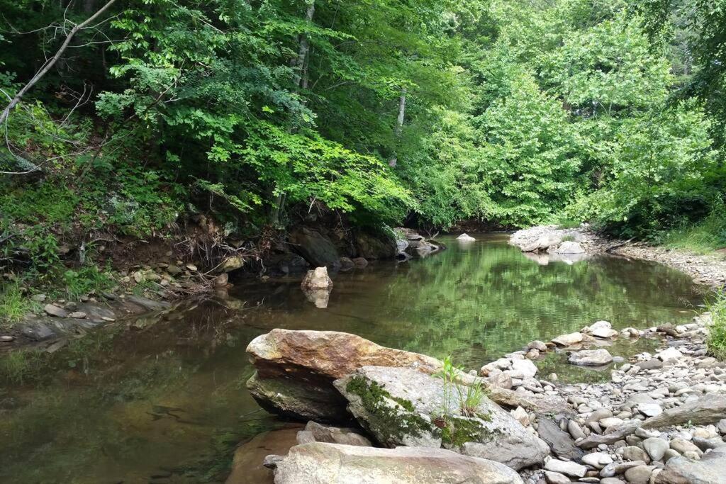 Country Mountain Escape! Barnardsville Exterior foto