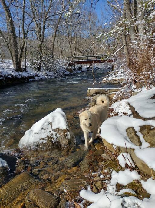 Country Mountain Escape! Barnardsville Exterior foto