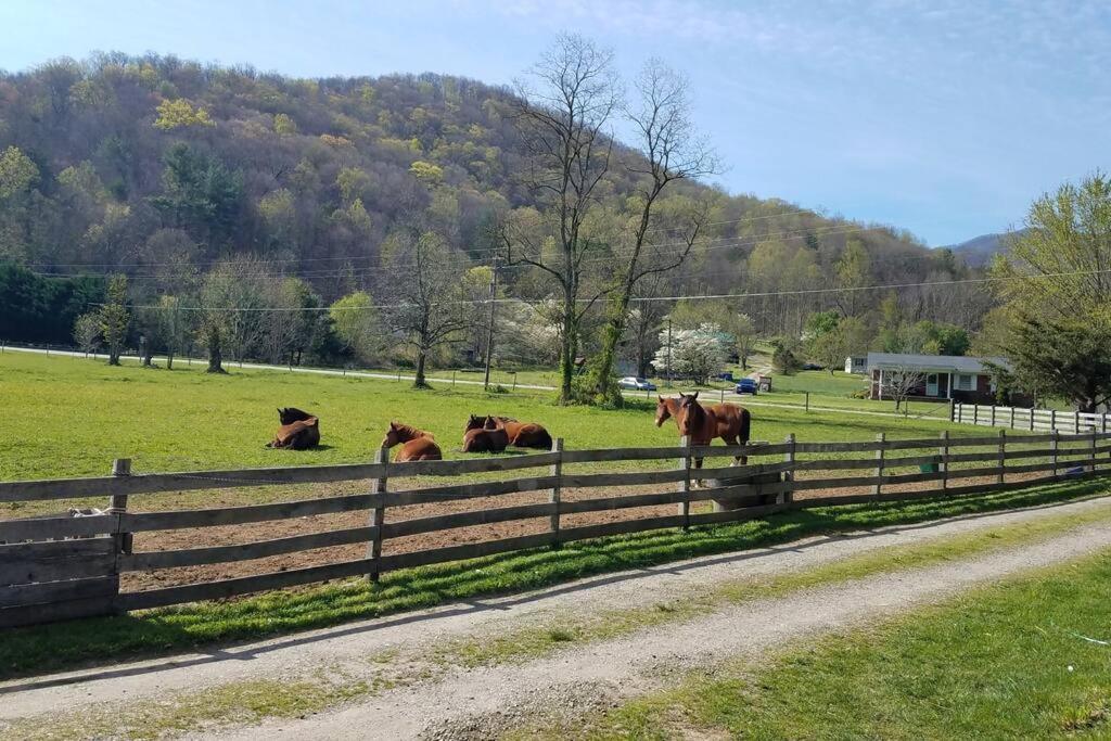 Country Mountain Escape! Barnardsville Exterior foto