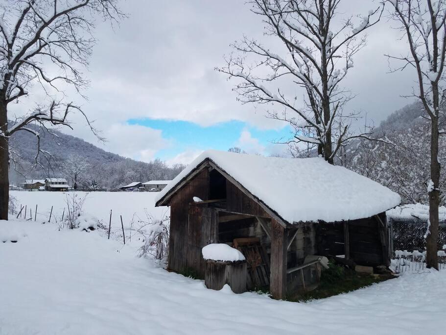 Country Mountain Escape! Barnardsville Exterior foto